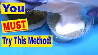 Mixing Sand and Salt with Mica in a Resin Casting - Will it Work?