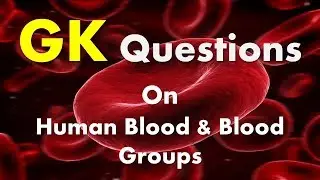 General Awareness Questions On Human Blood & Blood Groups
