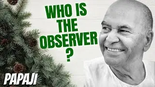 Who Is the Observer? The Illusion That Creates Suffering!