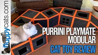 Purrini&trade; Playmate Modular Cat Play Set Product Review