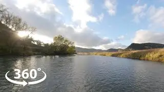 Upper Iowa River: Kumpf Access to Wild Landing Access