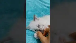 The finger atack