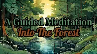 A Guided Meditation Into The Forest