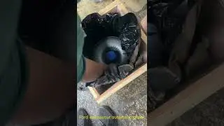 Ford endeavour automatic ghear problem