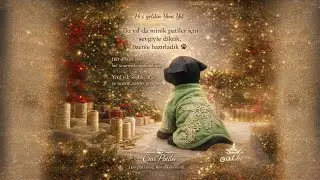 Yeni yıl i&ccedil;in hazırız &Ccedil;ok şaşırabilirsiniz ✨️✨️ Dog clothing making videos