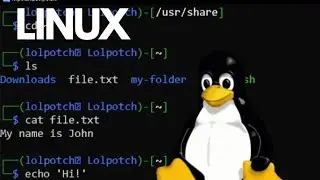 Linux Basic Commands