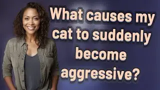 What causes my cat to suddenly become aggressive?