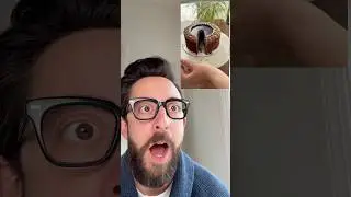 i love cake life hacks 🎂