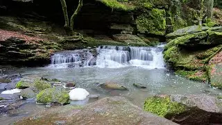 Monbachtal, unterer Teil, Jan.2026