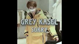 Alan Walker- Sorry (cover)