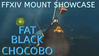FFXIV Mount Showcase: Fat Black Chocobo