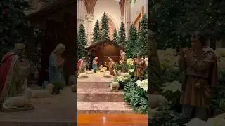 Nativity & Christmas Scene At Holy Name Cathedral ￼