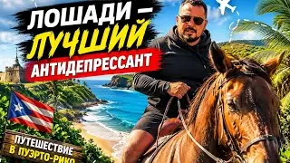 Лучший антистресс в Пуэрто-Рико &mdash; и это не океан/ Puerto Rico 🇵🇷  / прогулка на лошадях 