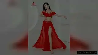 Belly Dance Professional Suit for Women Mesh Short Sleeves Top+sexy Split Long Skirt 2pcs Girl's Ori