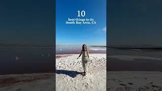 South Bay Area - Best Things to Do