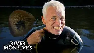 Sea Lamprey: The Ancient Bloodsucker Attacking Humans | River Monsters
