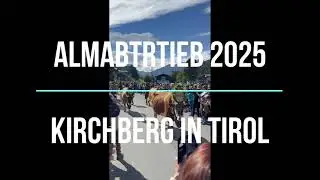 Almabtrieb Kirchberg in Tirol 2025