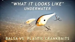 Balsa vs. Plastic Crankbaits Rise Rates | What it Looks Like Underwater