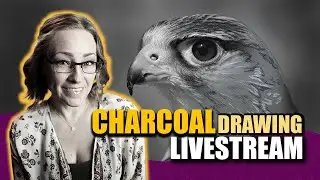 Charcoal Kestrel Drawing &  Art Chat LIVE