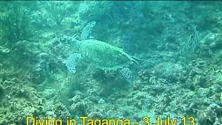 Poseidon Dive Center Diving in Taganga