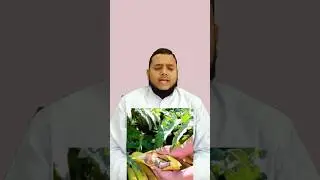The result of interfering everywhere is ha media #foryou #shorts #india #viralvideos #trending #hamedia #reels