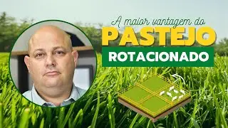 ENTENDA DE UMA VEZ POR TODAS A MAIOR VANTAGEM DO PASTEJO ROTACIONADO | PROF. MARCELO COSTA