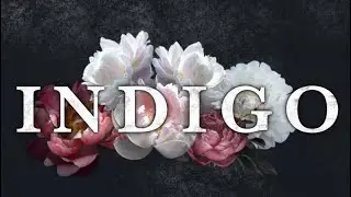 INDIGO BAND VIBEZ! live from spain