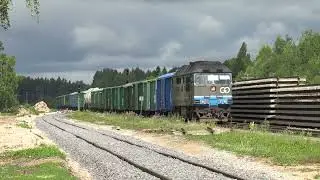 Тепловоз ТЭП70S-0229 на ст. Вягева / TEP70S-0229 at Vägeva station