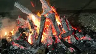 Evergreen Folk - Campfire Whispers