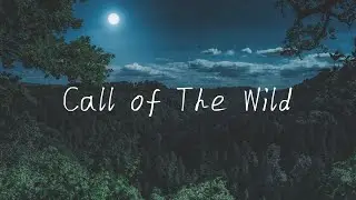 Relaxing Wildlife Sounds & Nature Footage 🌿 | Deep Sleep, Study, Meditation Background (No Talking)