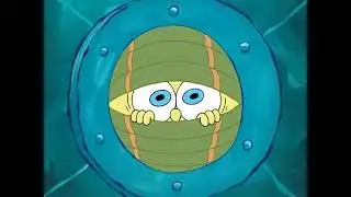 hello spongebob speaking! 🪼