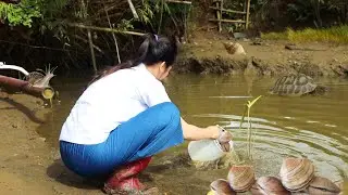 Find And Cook Big Mud Clam Shell || Cook In Village #myvillagelife #village