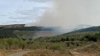 Forest Fire Glentrool | Ayrshire Scotland