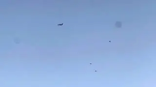 AIRLINER NEAR-MISS BIRD STRIKE!!!!