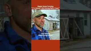 Maple Syrup Farming is Like Having Dairy Cows #keepinghistory #maplesyrup #firstpersonhistory