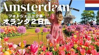 【アムステルダム🇳🇱2025】弾丸２日間オランダ観光💐｜チューリップ畑・風車の絶景満喫｜世界遺産キンデルダイク｜キューケンホフ公園｜物価｜オランダ観光
