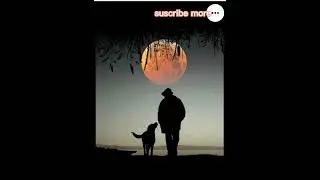 #copyright music sajha pare paxi ni lai #timi najik aaauna #new neali romantic song