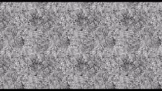 Polarize sped up- Twenty One Pilots