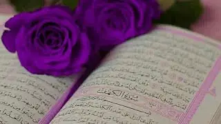 Surah Al Baqrah | Ayat no 217 | Live class starting  time 10:30 AM | Quran Tarjama tafseer