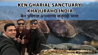 Ken Gharial Sanctuary Khajuraho India I केन घड़ियाल अभयारण्य खजुराहो भारत#khajuraho #ghadiyal #xena