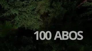 100 Subscriber Special (100 Abos feat. MDERMA)