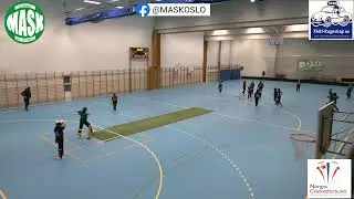 Women's indoor cricket 2024 MASK Vs Vestli CC