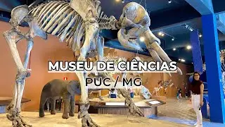 TOUR PELO MUSEU DE CIÊNCIAS NATURAIS PUC MINAS