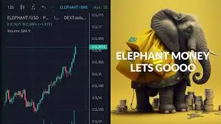 SAFEMOON & CRYPTO BREAKING NEWS😱ELEPHANT MONEY ON BSC CHAIN IS EXPLODING &CRUSHING THE COMPETITION🚀💥