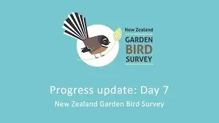Progress Update Day 7: NZ Garden Bird Survey 2017
