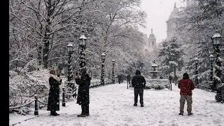 Walking Through NYC During Heavy Snow | Pure City Sounds