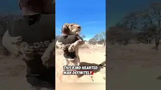 This orphaned lion was rescued by a kind man after being abandoned by its mother #rescue #lion