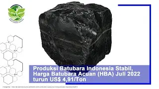 Produksi Batubara Indonesia Stabil, Harga Batubara Acuan (HBA) Juli 2022 turun US$ 4,91/Ton