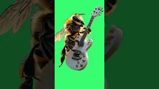 Bee Playing The Guitar | Green Screen #greenscreen #greenscreenvideo #greenscreenoverlay  #capcut