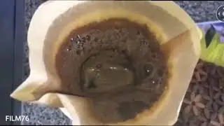 Kaffee mit dem Handfilter